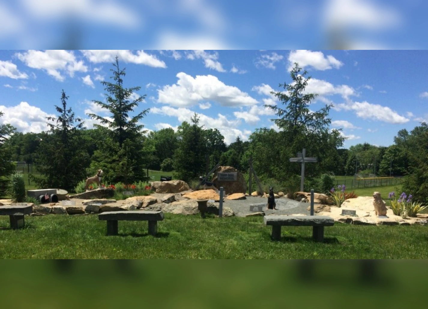 Peaceful park area under a blue sky