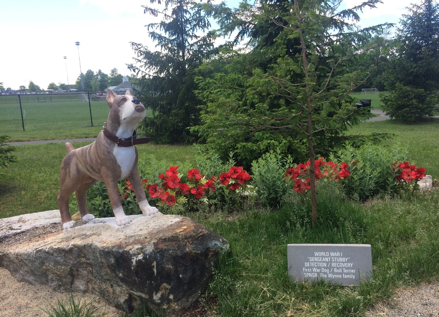 Dog statue on rock beside flowers