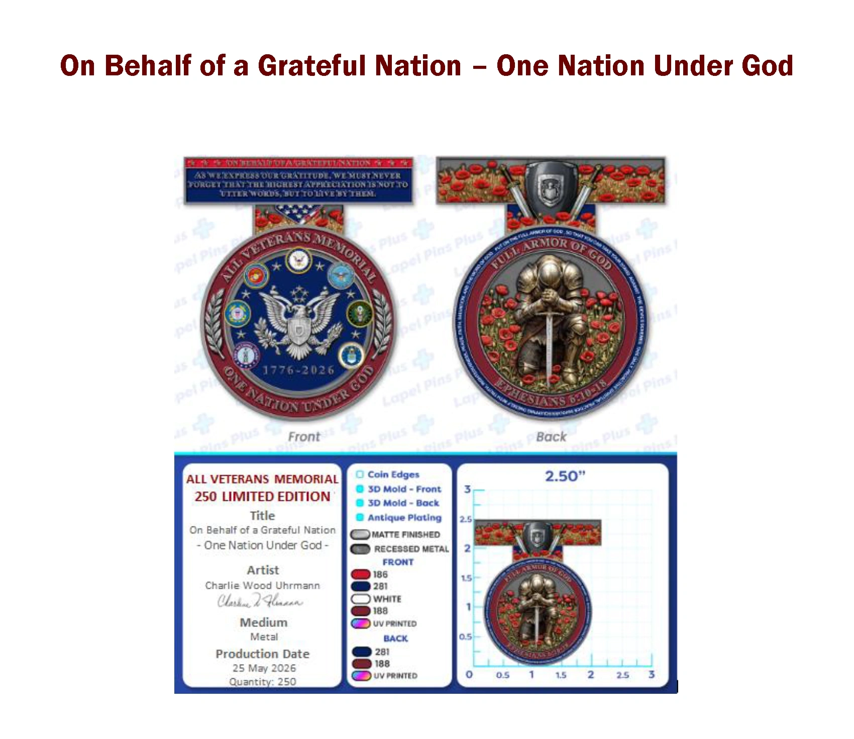 AVM 250 CHALLENGE COIN