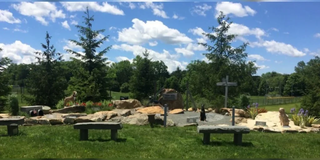 Peaceful park area under a blue sky